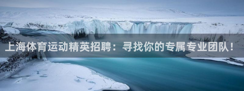 球王会体育：上海体育运动精英招聘：寻找你的专属专业团队！