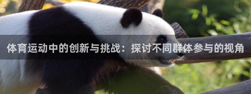 球王会体育：体育运动中的创新与挑战：探讨不同群体参与的视角