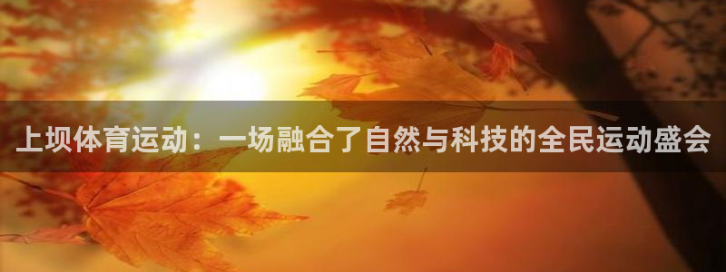 球王会体育：上坝体育运动：一场融合了自然与科技的全民运动盛会