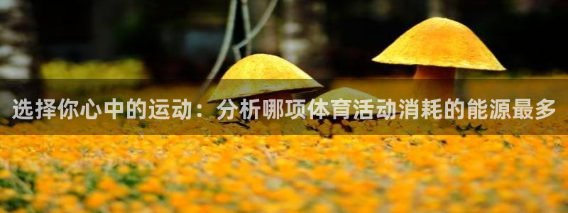 球王会体育：选择你心中的运动：分析哪项体育活动消耗的能源最多