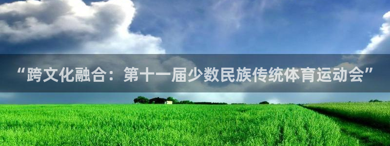 球王会体育：“跨文化融合：第十一届少数民族传统体育运动会”