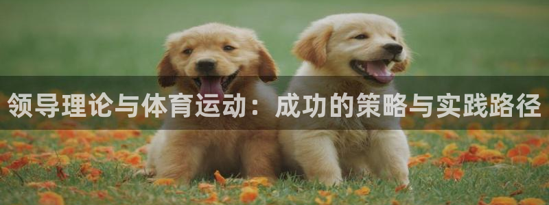 球王会体育：领导理论与体育运动：成功的策略与实践路径